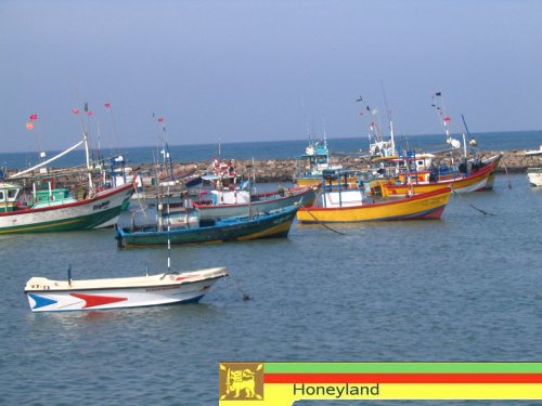 Hikkaduwa_Hafen.JPG